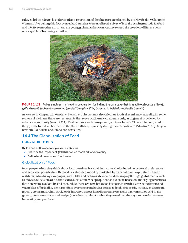 Introduction to Anthropology - New Page