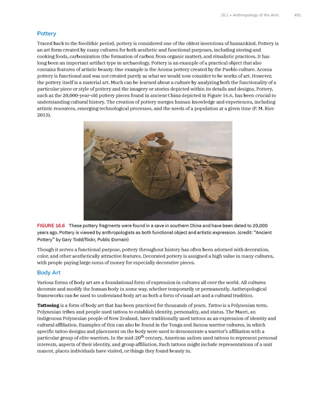 Introduction to Anthropology - New Page