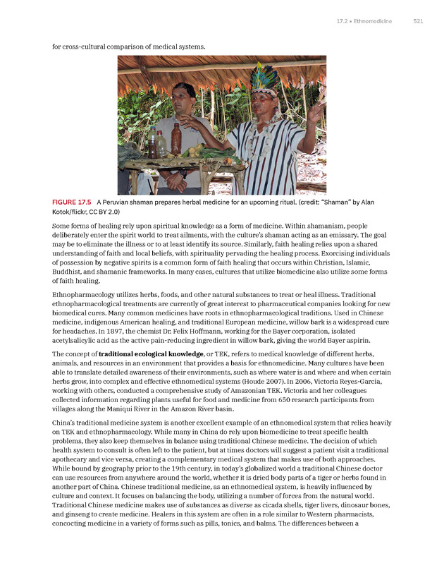 Introduction to Anthropology - New Page
