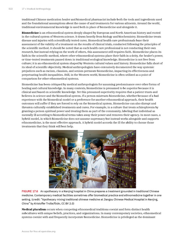 Introduction to Anthropology - New Page