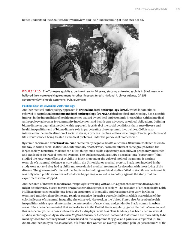 Introduction to Anthropology - New Page
