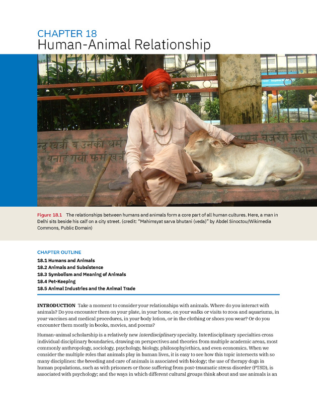 Introduction to Anthropology - New Page