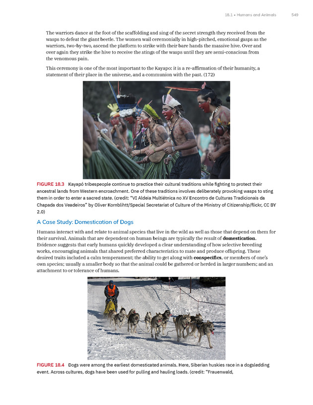 Introduction to Anthropology - New Page
