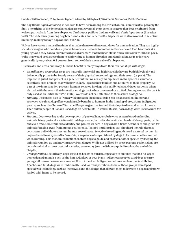 Introduction to Anthropology - New Page