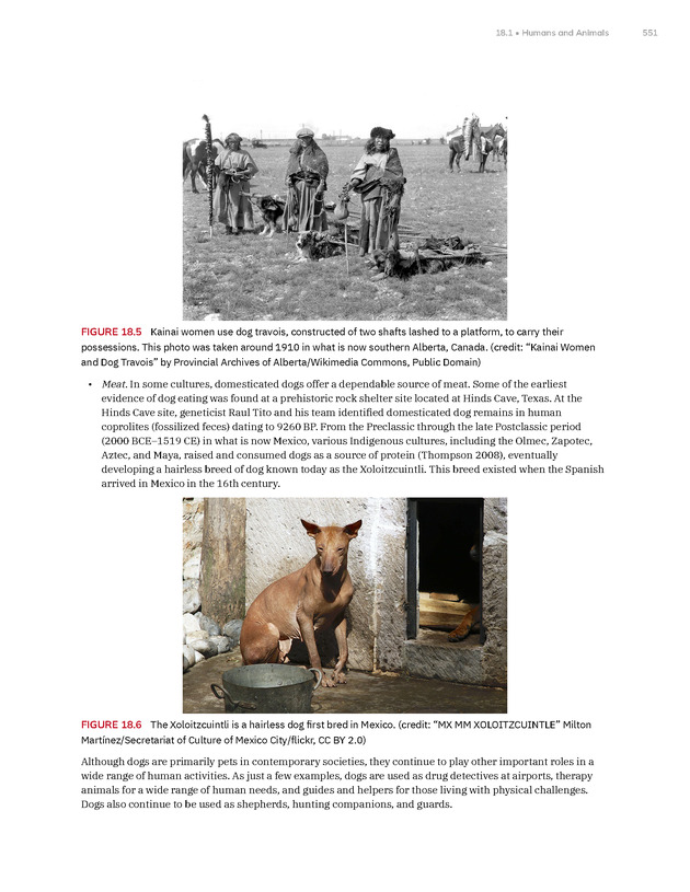 Introduction to Anthropology - New Page