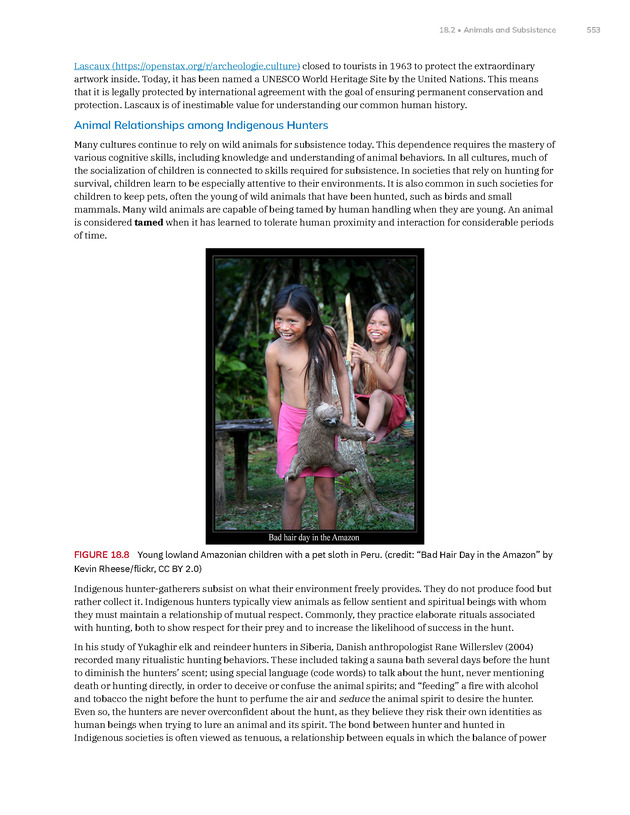 Introduction to Anthropology - New Page
