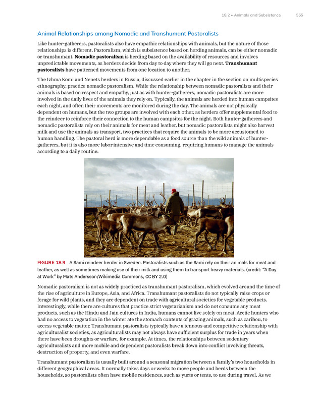 Introduction to Anthropology - New Page