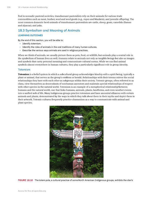 Introduction to Anthropology - New Page