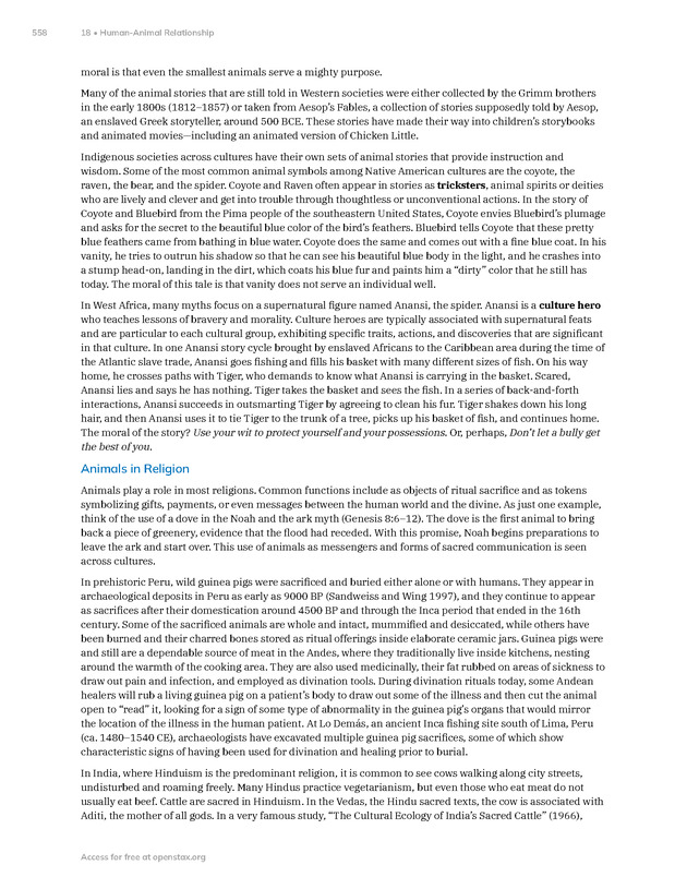 Introduction to Anthropology - New Page