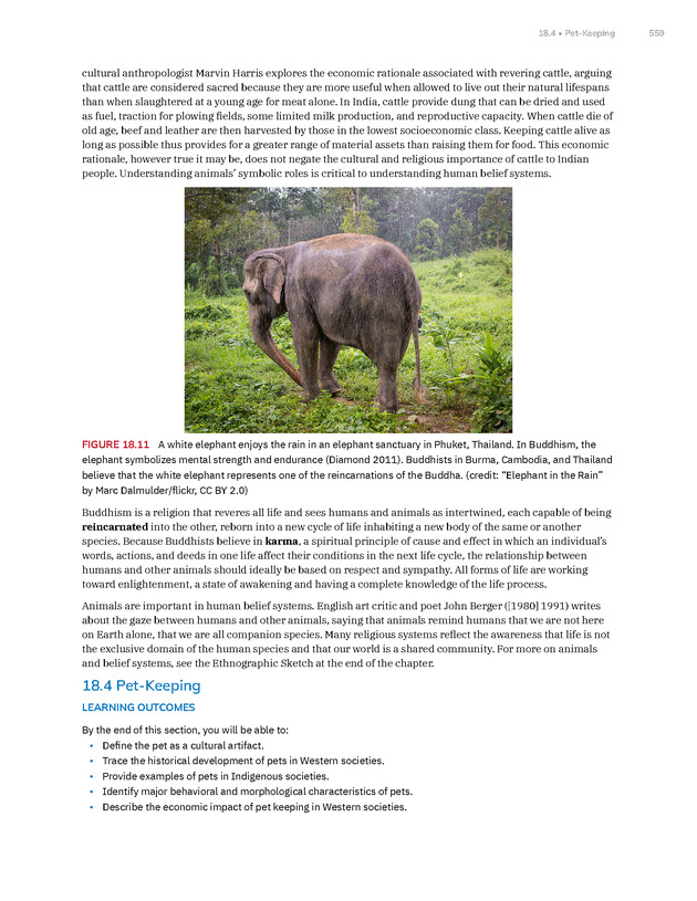 Introduction to Anthropology - New Page