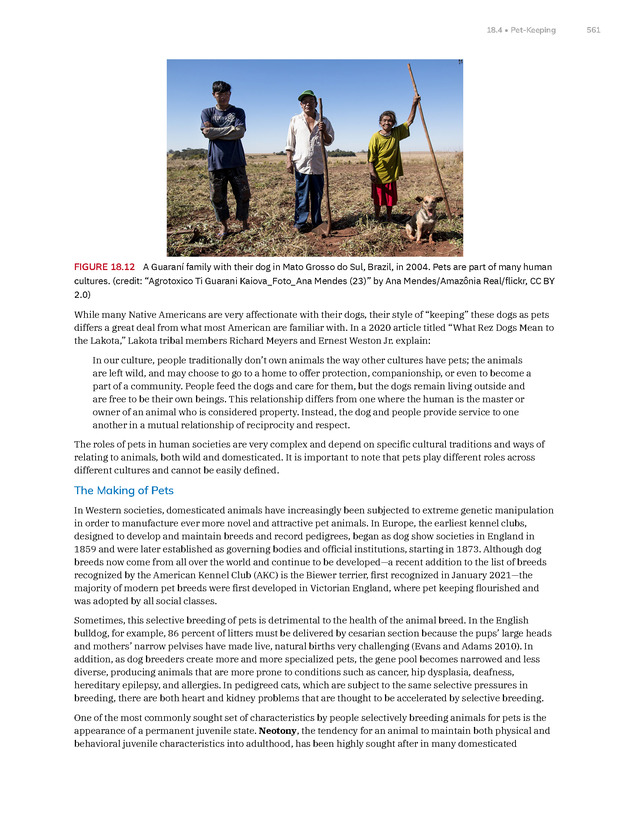 Introduction to Anthropology - New Page