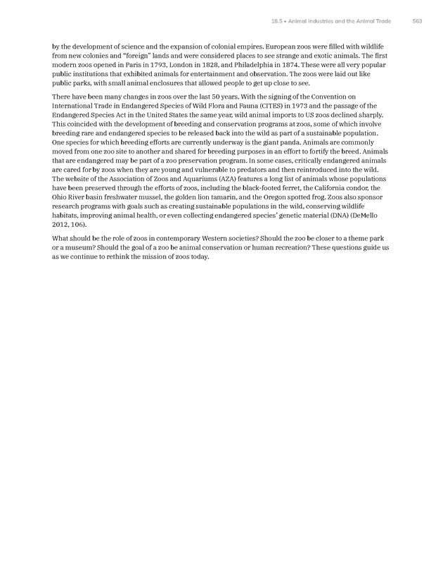 Introduction to Anthropology - New Page