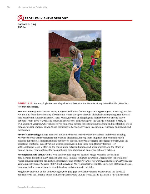 Introduction to Anthropology - New Page
