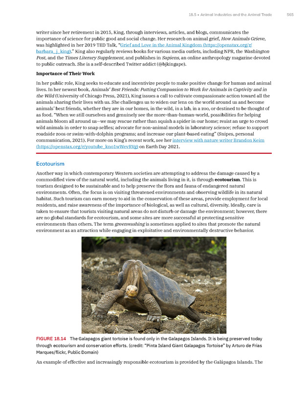 Introduction to Anthropology - New Page