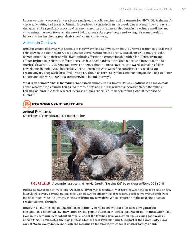Introduction to Anthropology - New Page