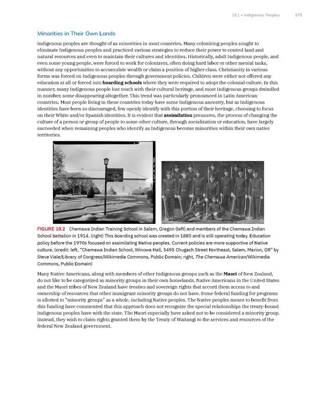 Introduction to Anthropology - New Page