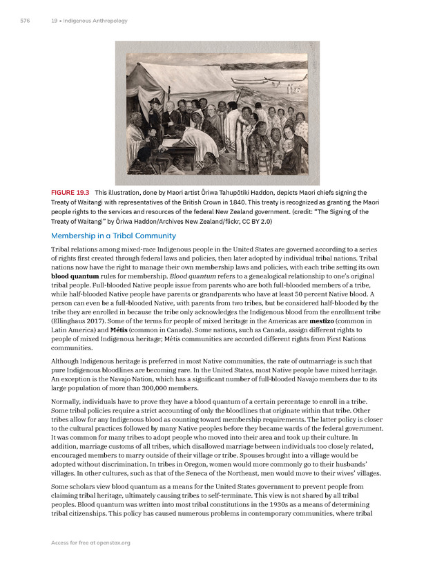 Introduction to Anthropology - New Page