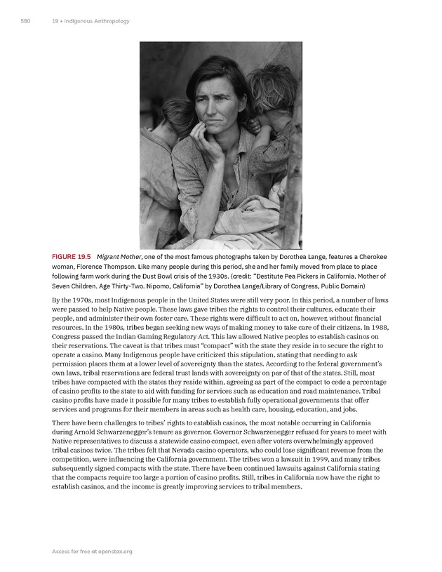 Introduction to Anthropology - New Page