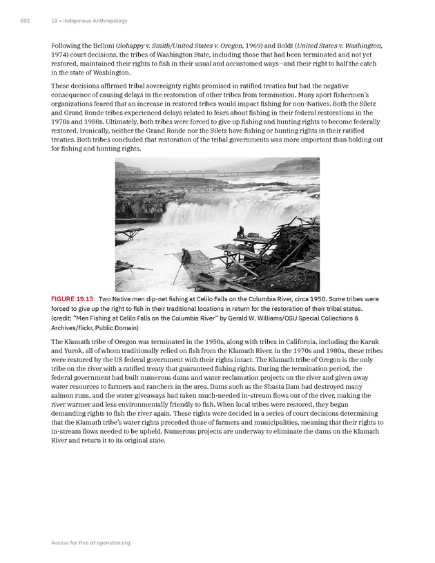 Introduction to Anthropology - New Page