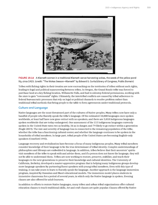 Introduction to Anthropology - New Page