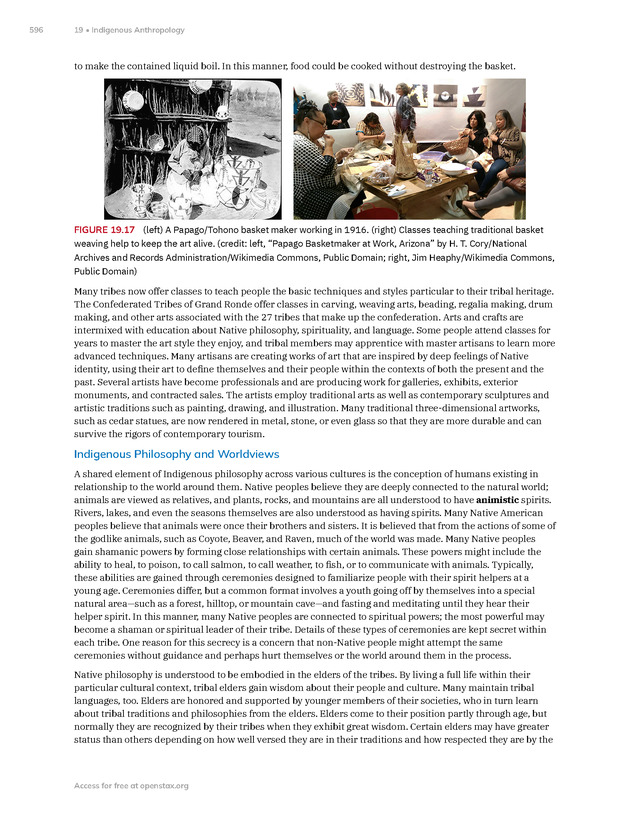 Introduction to Anthropology - New Page