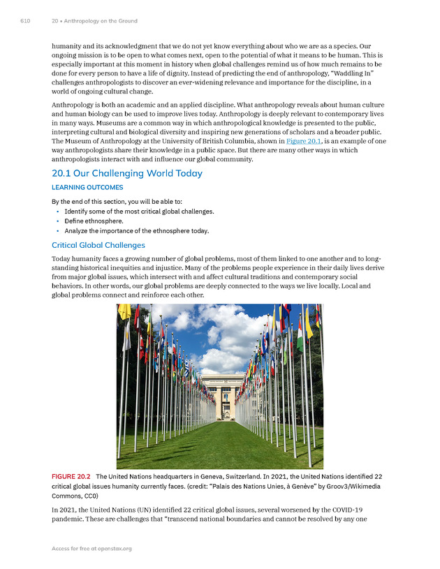 Introduction to Anthropology - New Page