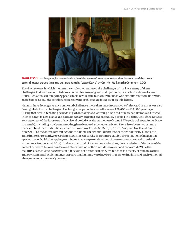 Introduction to Anthropology - New Page