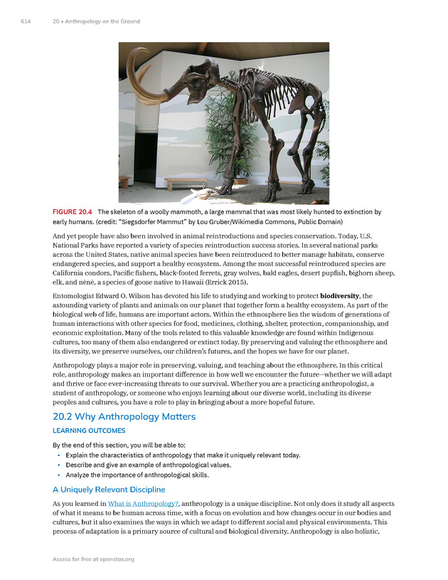 Introduction to Anthropology - New Page