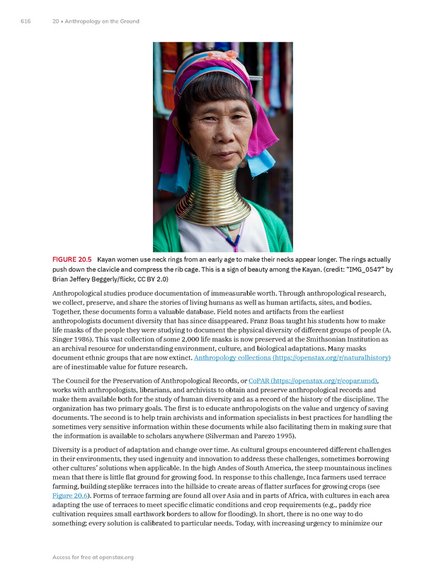 Introduction to Anthropology - New Page