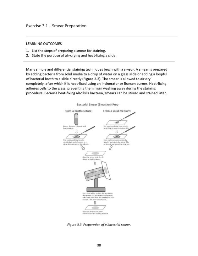 Microbiology Module 3: Staining - New Page