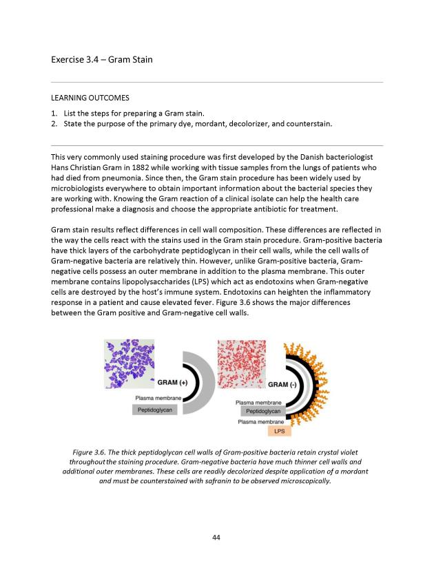 Microbiology Module 3: Staining - New Page
