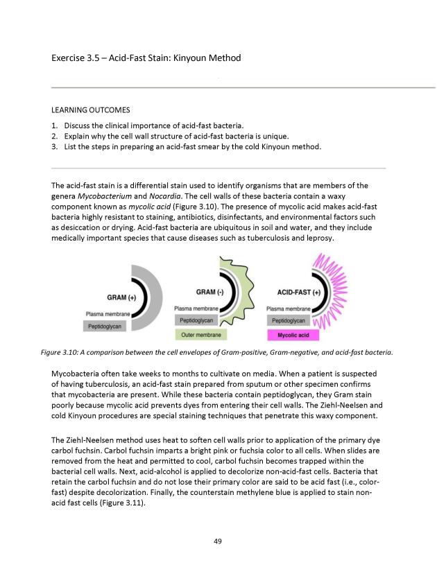 Microbiology Module 3: Staining - New Page