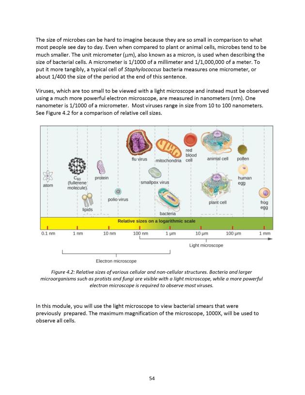 Microbiology Module 4: Microscopy - New Page