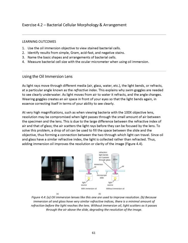 Microbiology Module 4: Microscopy - New Page