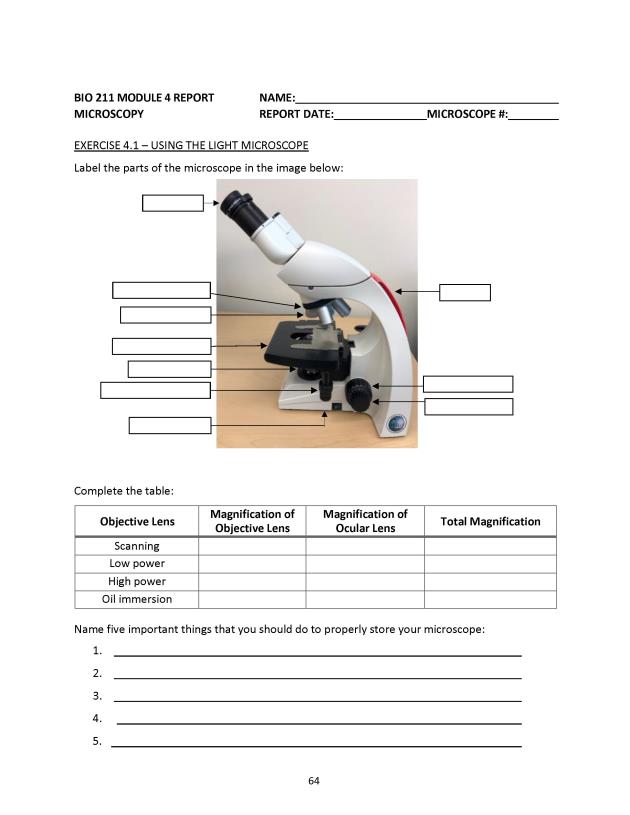 Microbiology Module 4: Microscopy - New Page