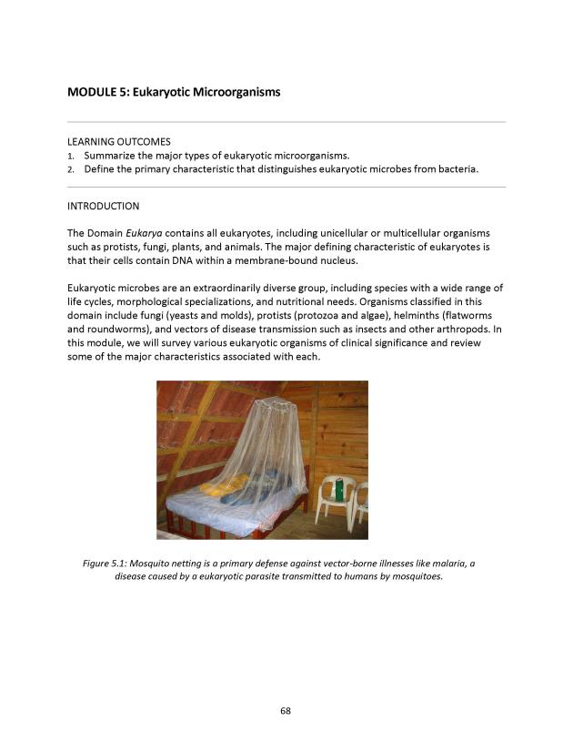 Microbiology Module 5: Eukaryotes - New Page