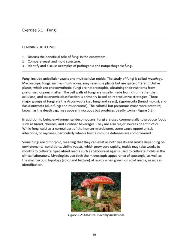 Microbiology Module 5: Eukaryotes - New Page