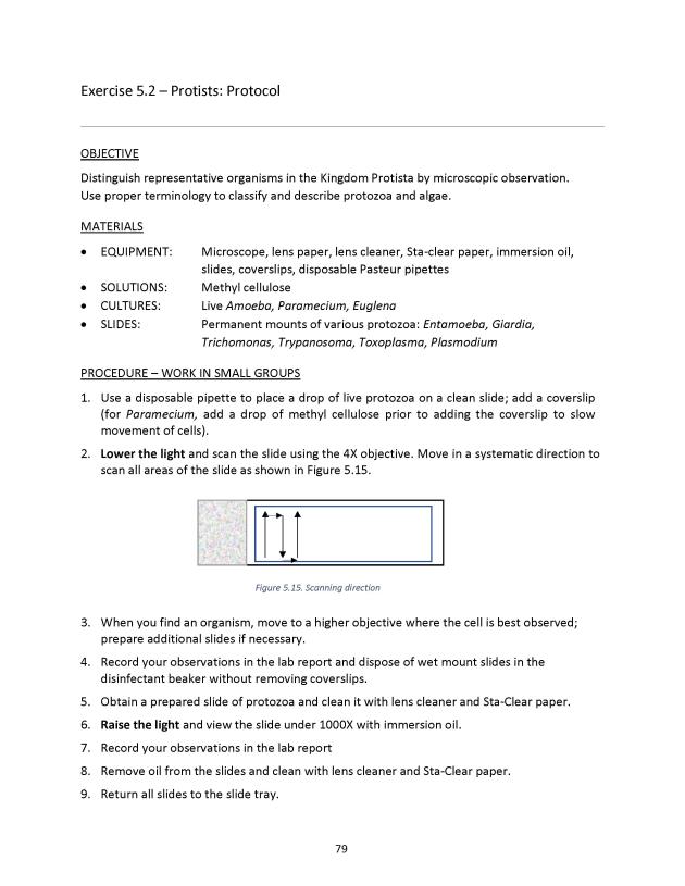 Microbiology Module 5: Eukaryotes - New Page