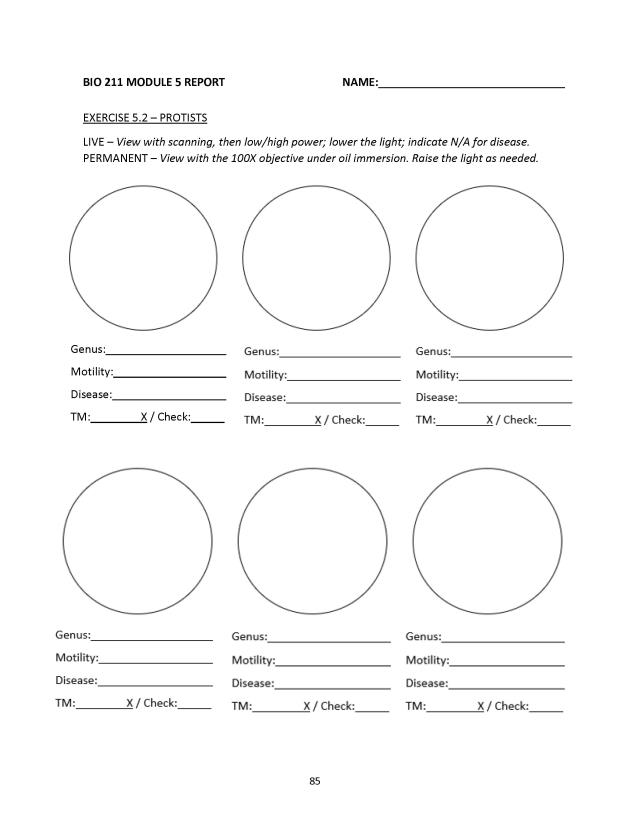 Microbiology Module 5: Eukaryotes - New Page