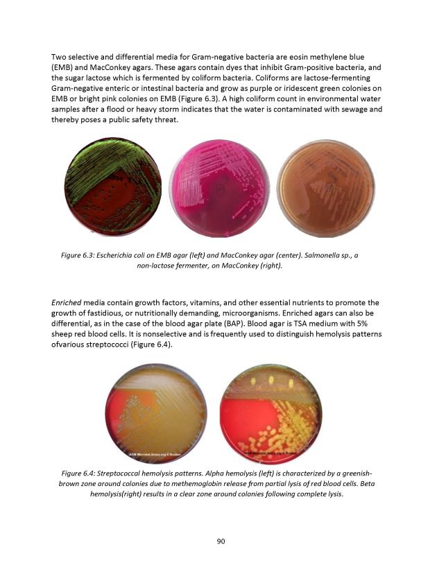 Microbiology Module 6: Media & Aerotolerance - New Page