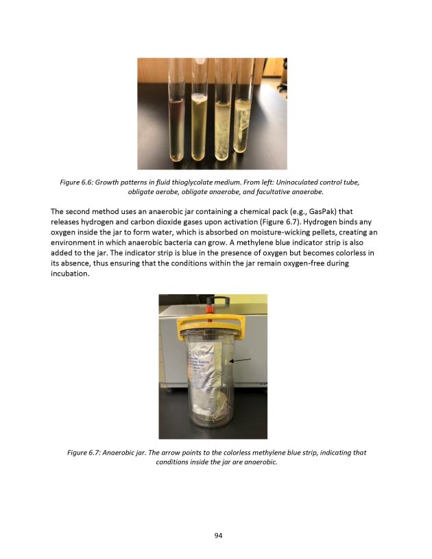 Microbiology Module 6: Media & Aerotolerance - New Page