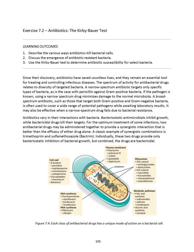 Microbiology Module 7: Control of Growth - New Page