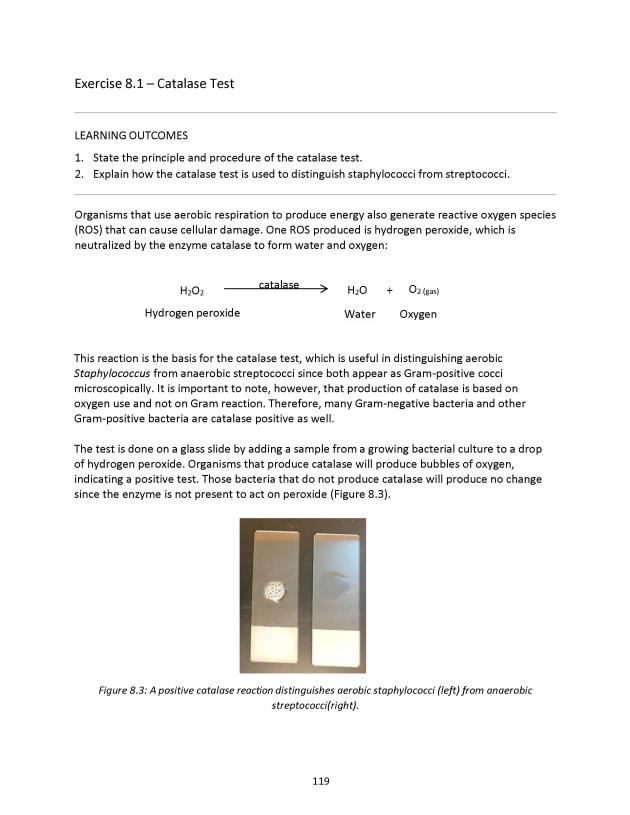 Microbiology Module 8: ID of Gram-Positive Cocci - New Page