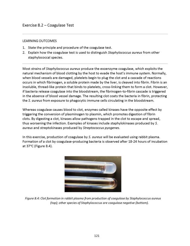 Microbiology Module 8: ID of Gram-Positive Cocci - New Page