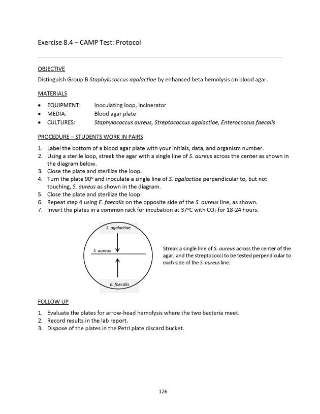 Microbiology Module 8: ID of Gram-Positive Cocci - New Page