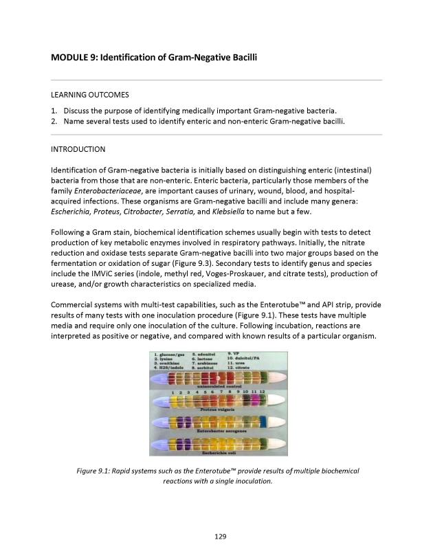 Microbiology Module 9: ID of Gram-Negative Bacilli - New Page