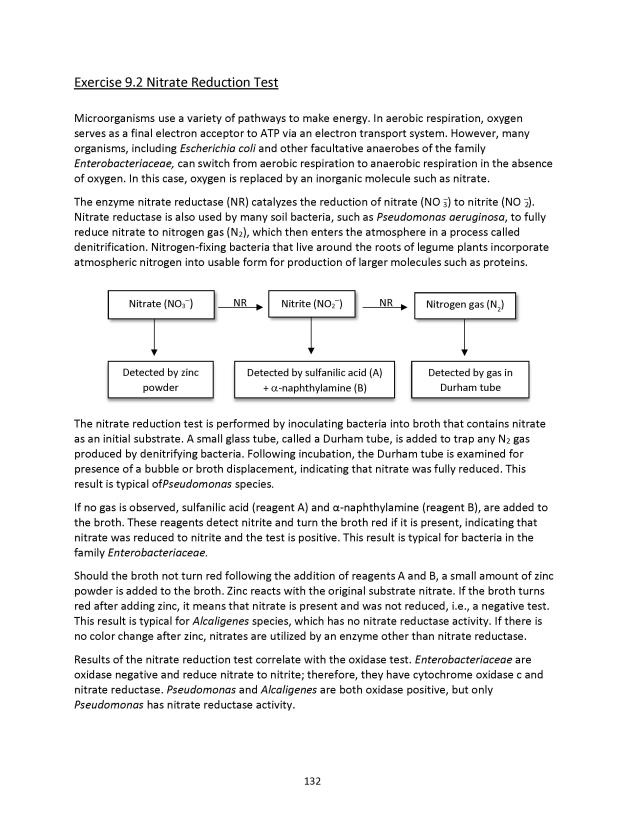 Microbiology Module 9: ID of Gram-Negative Bacilli - New Page
