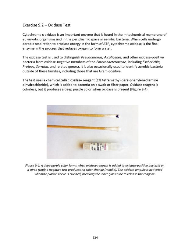 Microbiology Module 9: ID of Gram-Negative Bacilli - New Page