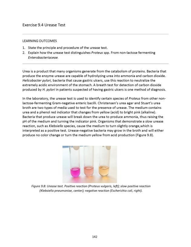 Microbiology Module 9: ID of Gram-Negative Bacilli - New Page