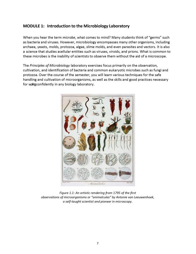 Principles of Microbiology Laboratory Manual - New Page